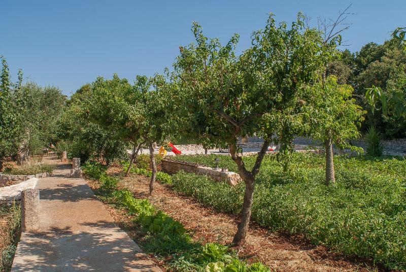 Agriturismo Antonelli Piangevino image