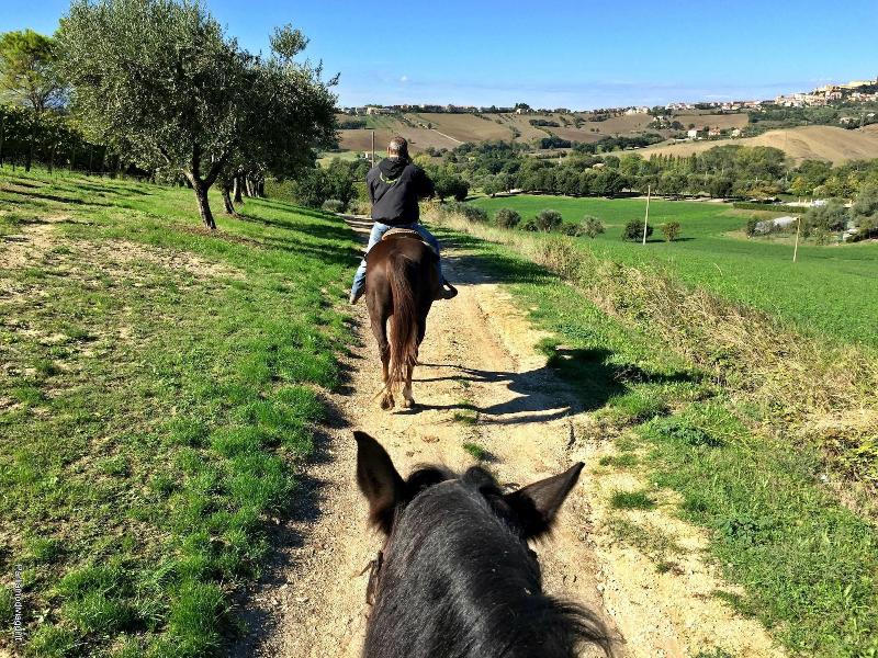 Agriturismo le Capannacce image