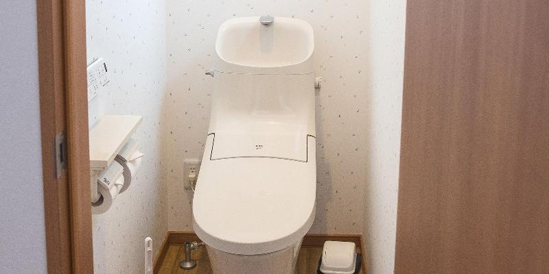 Mush Rooms image