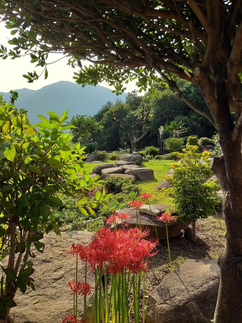 A day in Geoje Pension image