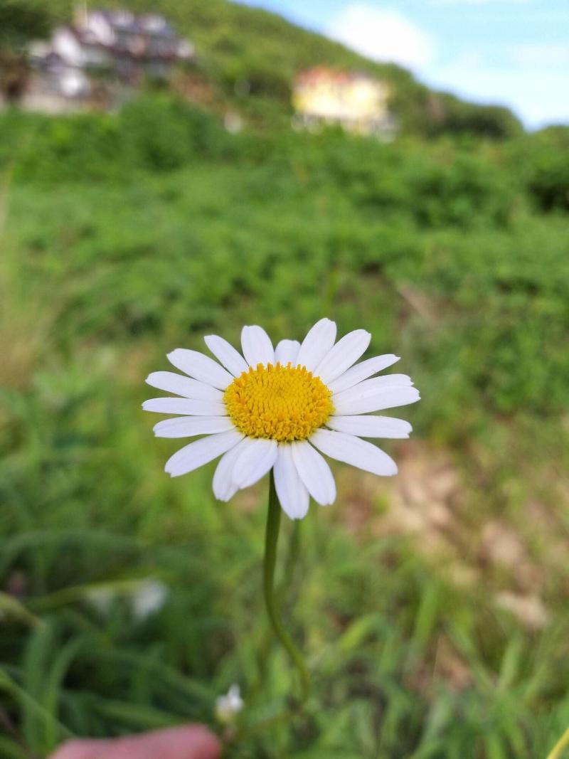A day in Geoje Pension image