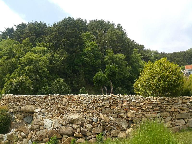A day in Geoje Pension image