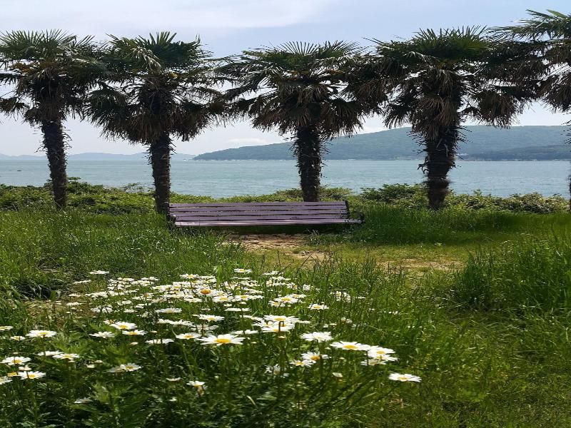 A day in Geoje Pension image