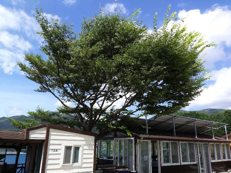 A day in Geoje Pension image