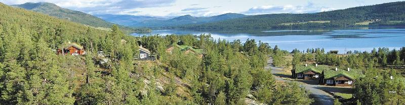 Randsverk Hytter image