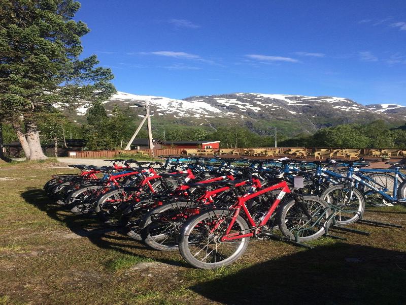 Vatnahalsen Hoyfjellshotell image