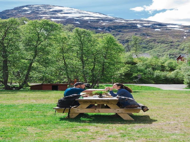 Vatnahalsen Hoyfjellshotell image