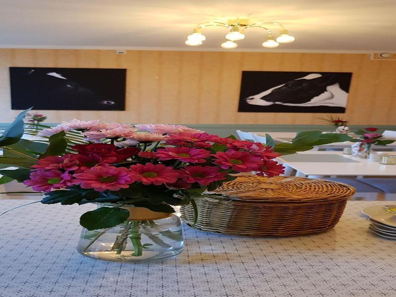 Ydre Bed & Breakfast image