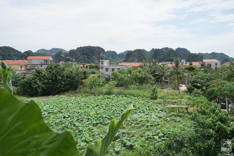 Le Clos Du Fil image