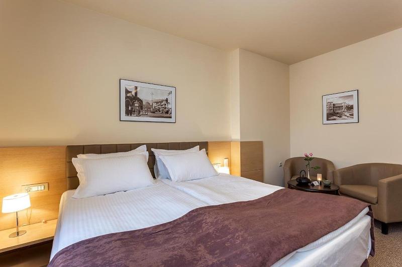 Hotel Sofia Palace image
