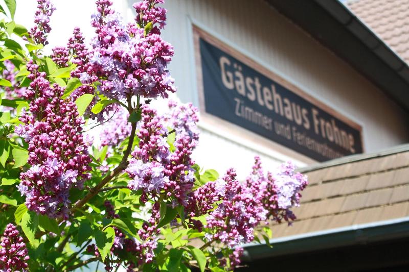 Gastehaus Frohne