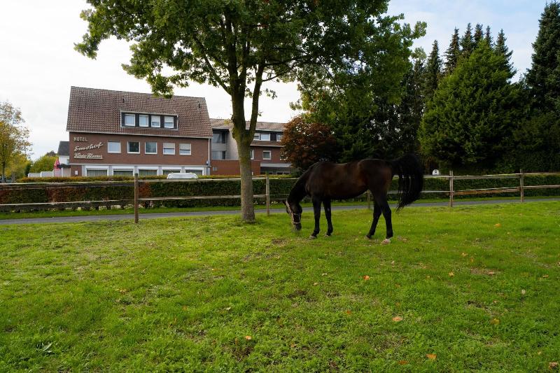 Hotel Emshof image