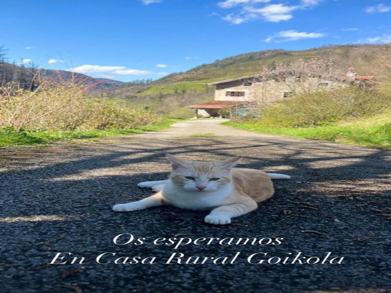 Casa Rural Goikola image