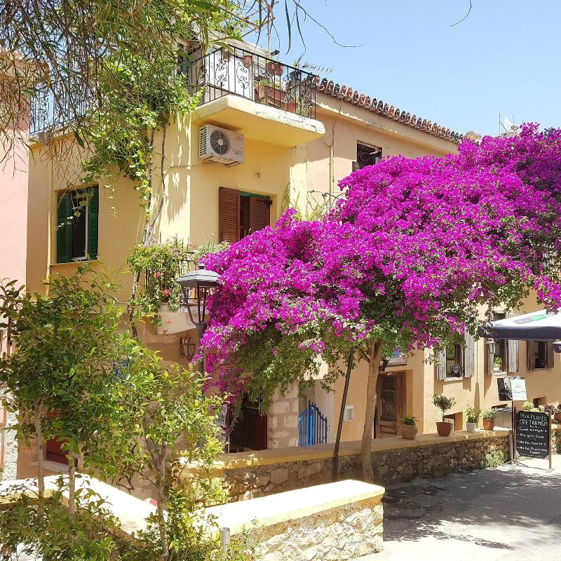 Aoria Estate Old Port image
