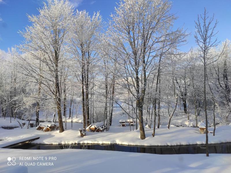 Plitvice Streaming image