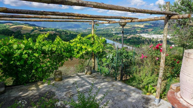 Agriturismo Pascucci image