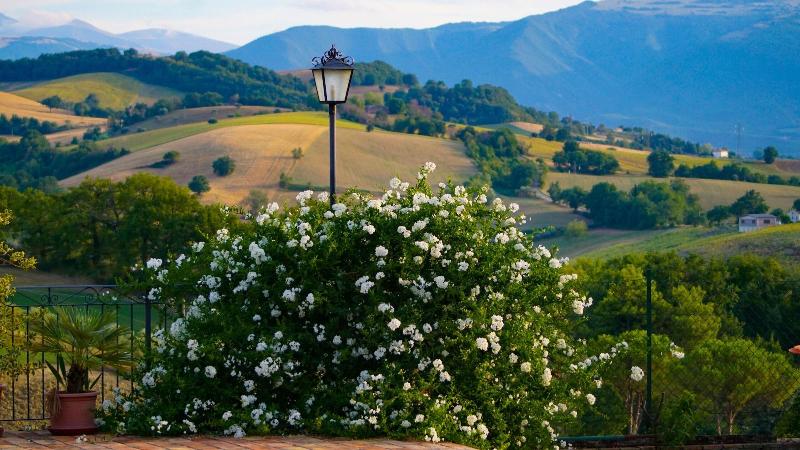 Agriturismo Pascucci image