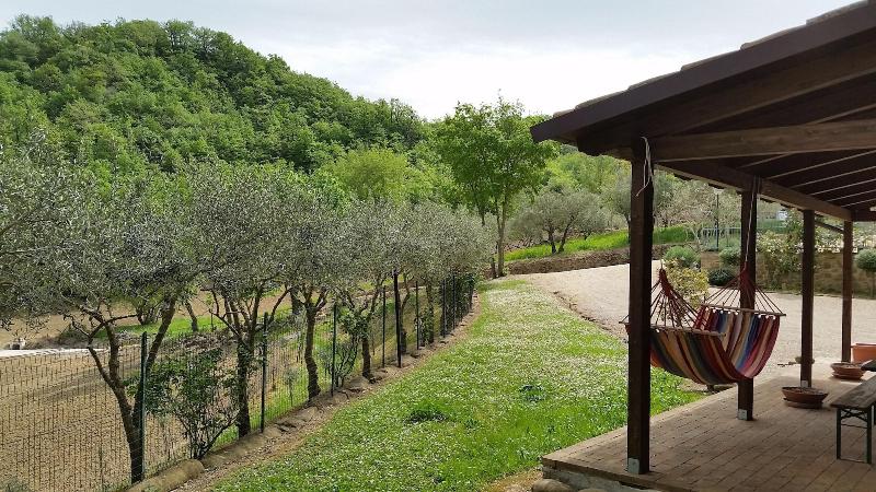 Agriturismo Pascucci image