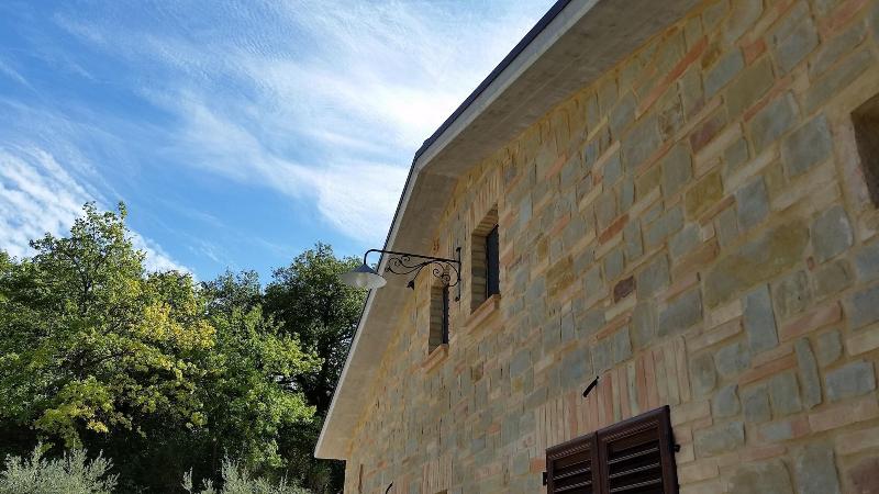 Agriturismo Pascucci image