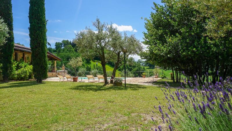 Agriturismo Pascucci image