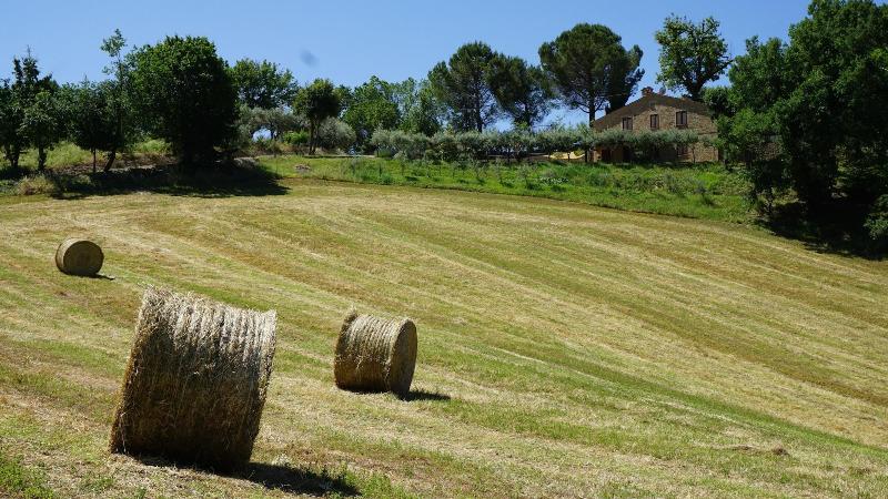 Agriturismo Pascucci image