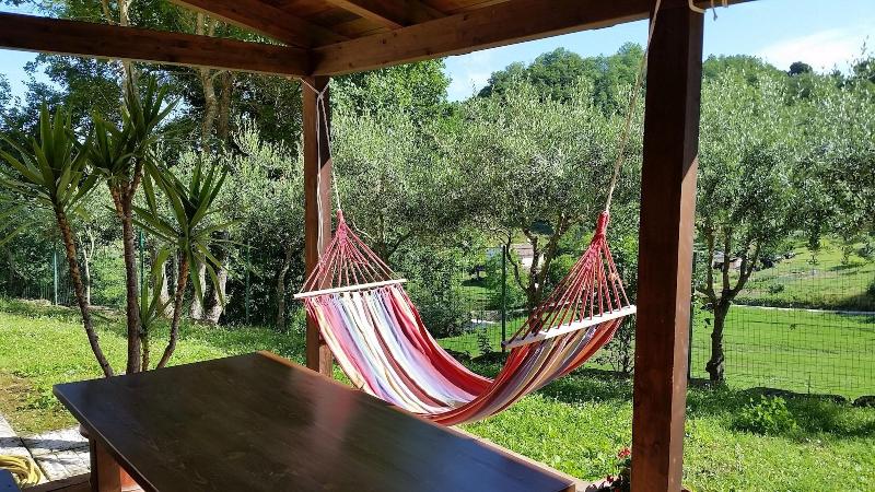 Agriturismo Pascucci image
