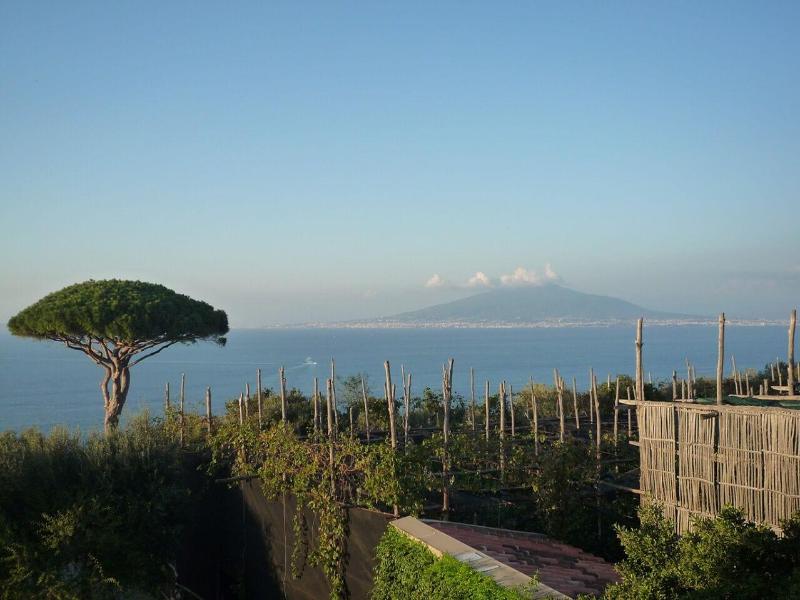Agriturismo Il Giardino di Vigliano image