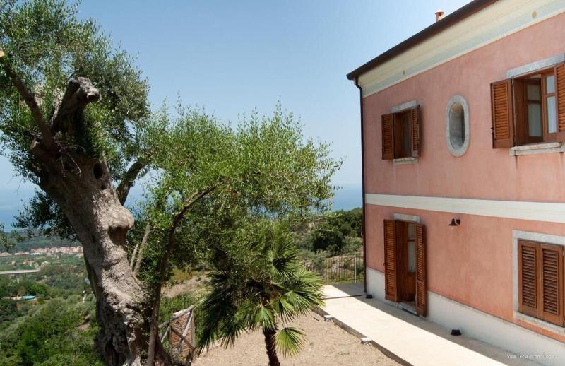 Villa Tecla image