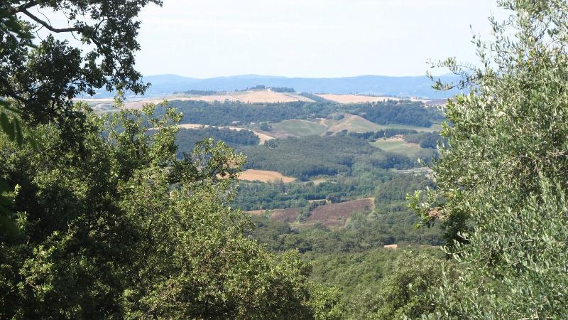 Podere Campovecchio image