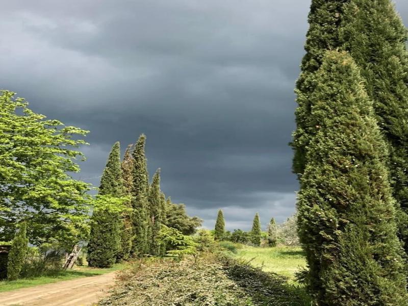 Podere Campovecchio image
