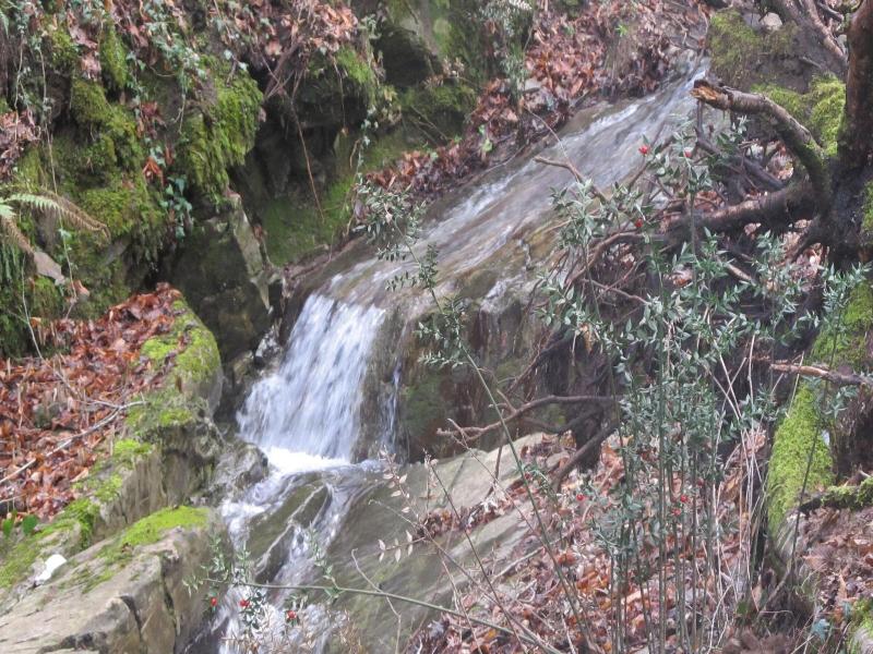 Podere Campovecchio image