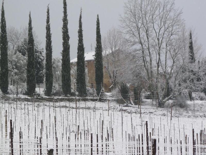 Podere Campovecchio image