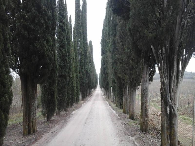 Podere Campovecchio image