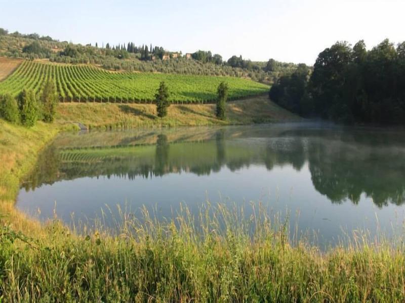 Podere Campovecchio image