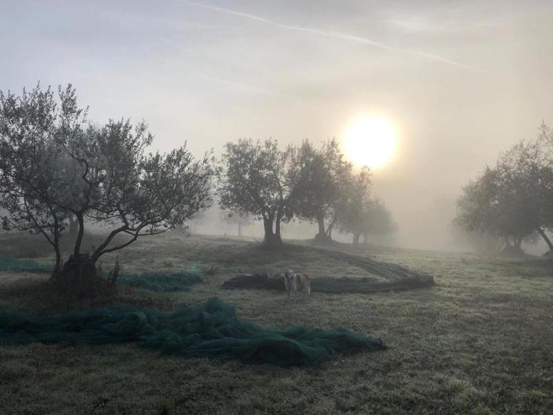 Podere Campovecchio image