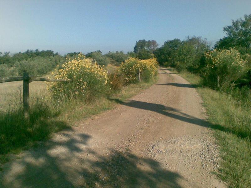 Podere Campovecchio image