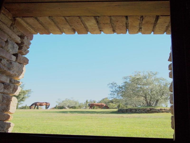 Podere Campovecchio image