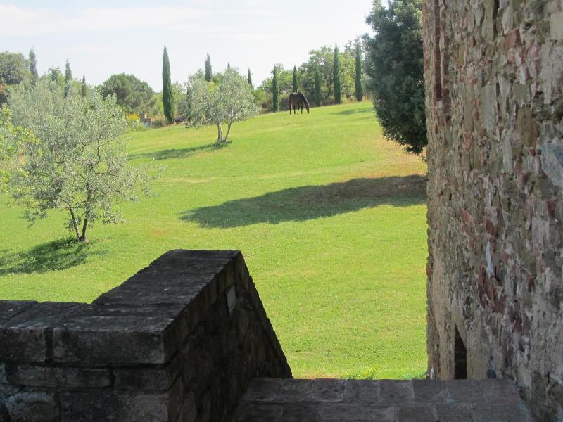 Podere Campovecchio image