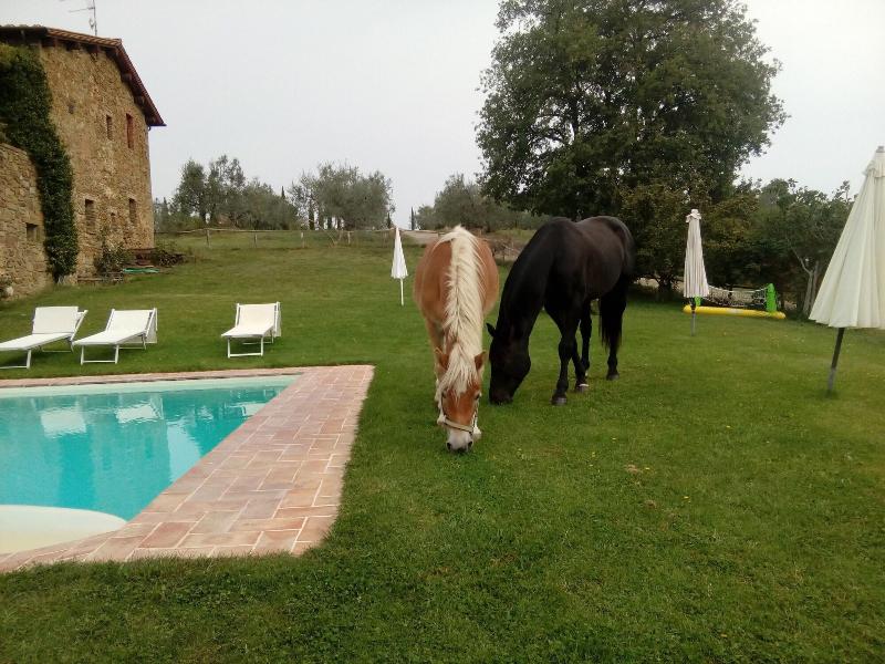 Podere Campovecchio image