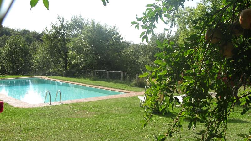 Podere Campovecchio image