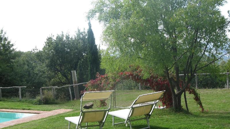 Podere Campovecchio image