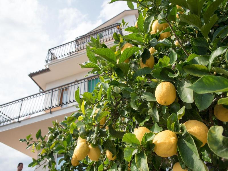 Residence Oleandro image