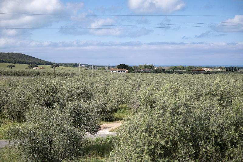 Il Cru di Vignanova image
