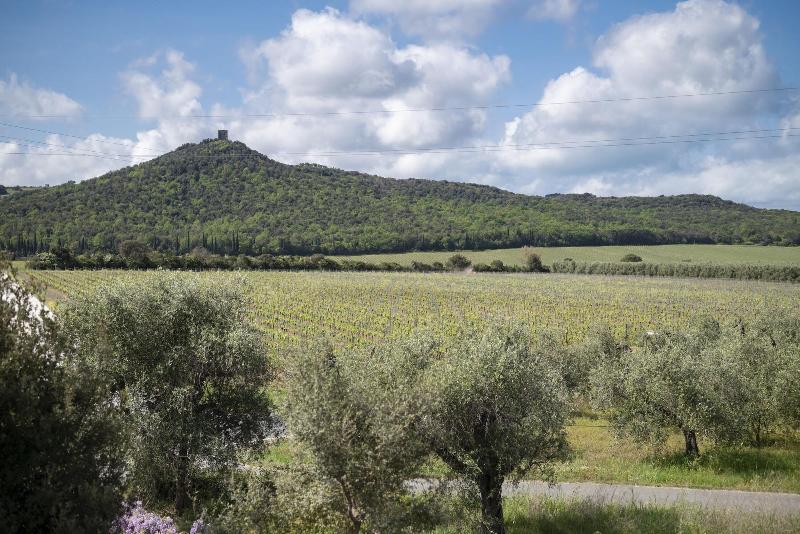 Il Cru di Vignanova image