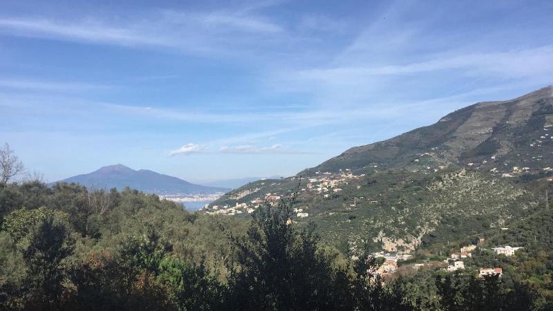 Il Casale del Mirto image
