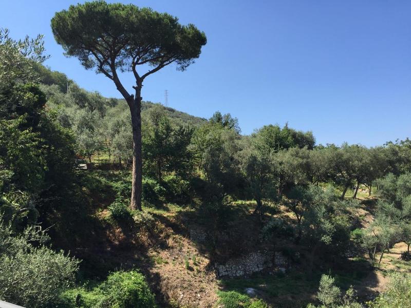 Il Casale del Mirto image
