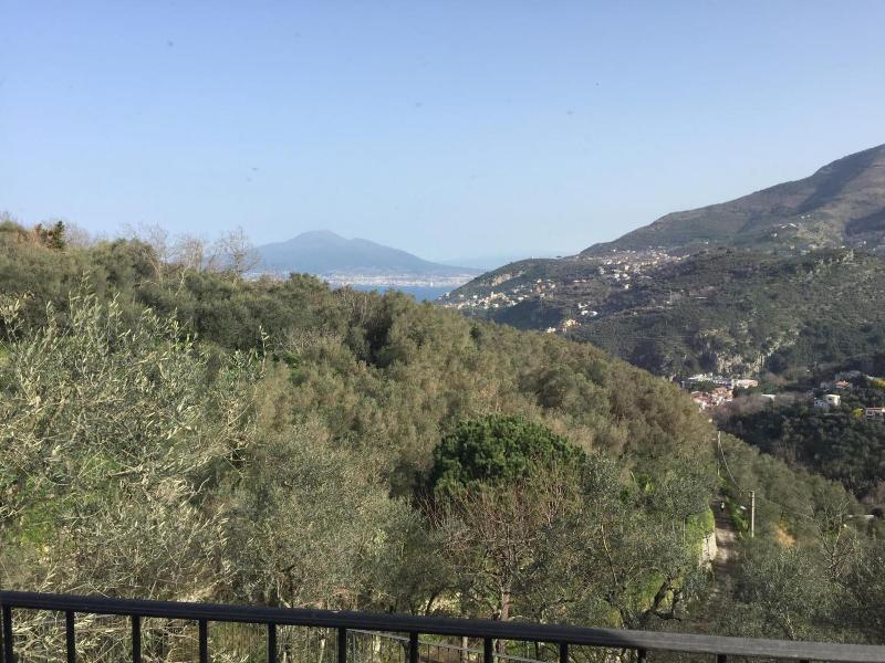 Il Casale del Mirto image