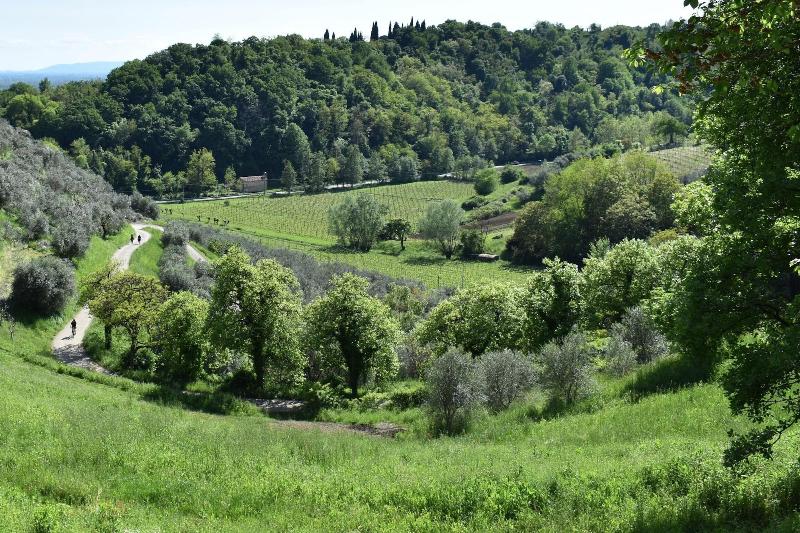 Villa Lovi image