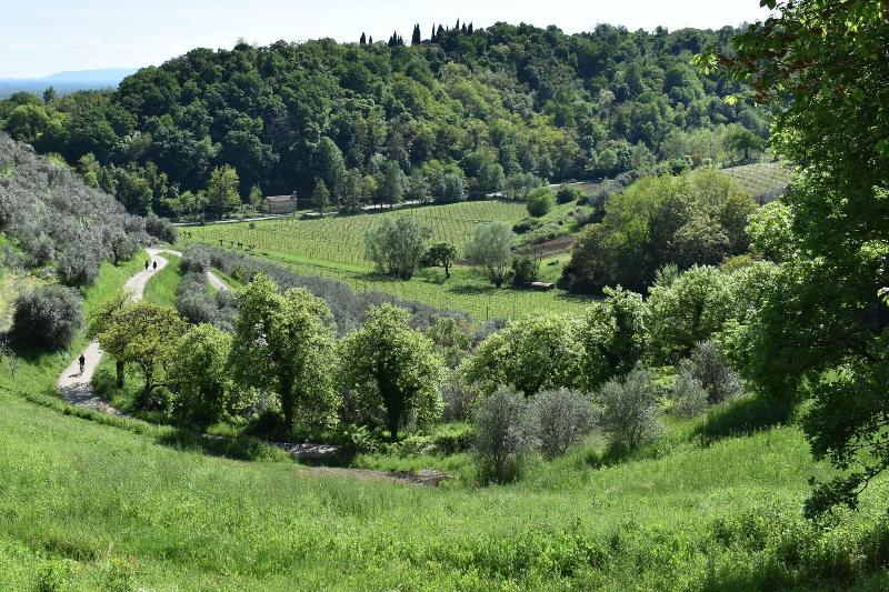 Villa Lovi image