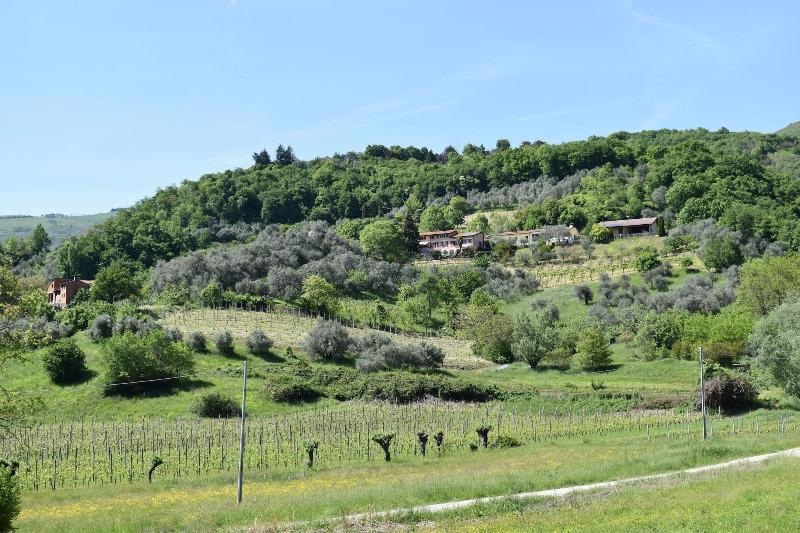 Villa Lovi image
